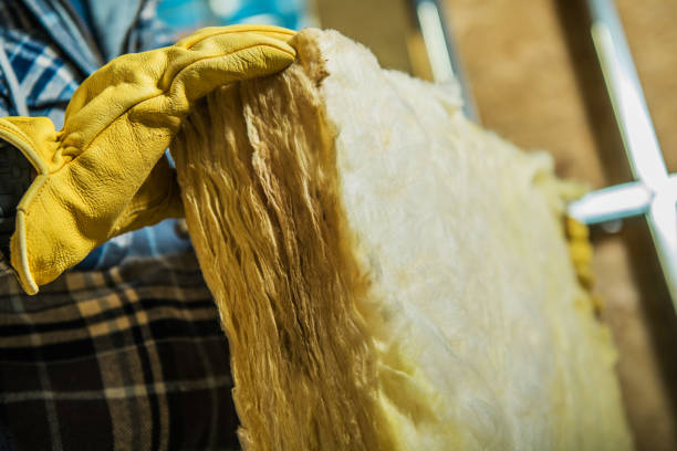 Professional Insulation Contractor in SC