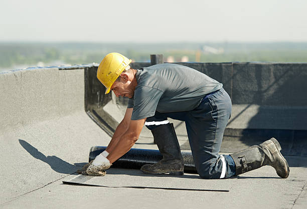 Best Commercial Insulation in Burnettown, SC